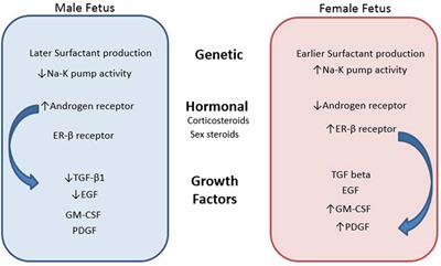 Gender Differences in Respiratory Morbidity and Mortality of Preterm Neonates